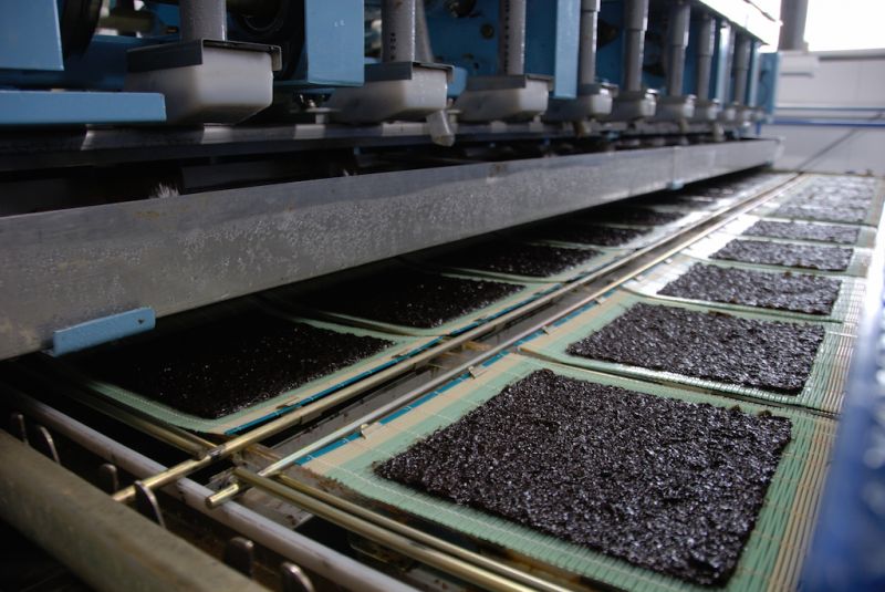 chế biến rong biển lá kim